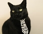 _森林狼奋力追赶，目标渴望季后赛_，森林狼队首发