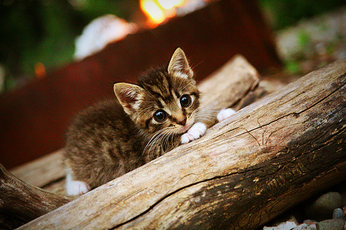 爱游戏在线登录入口-_马刺队稳扎稳打，赢得重要比赛_，马刺进攻