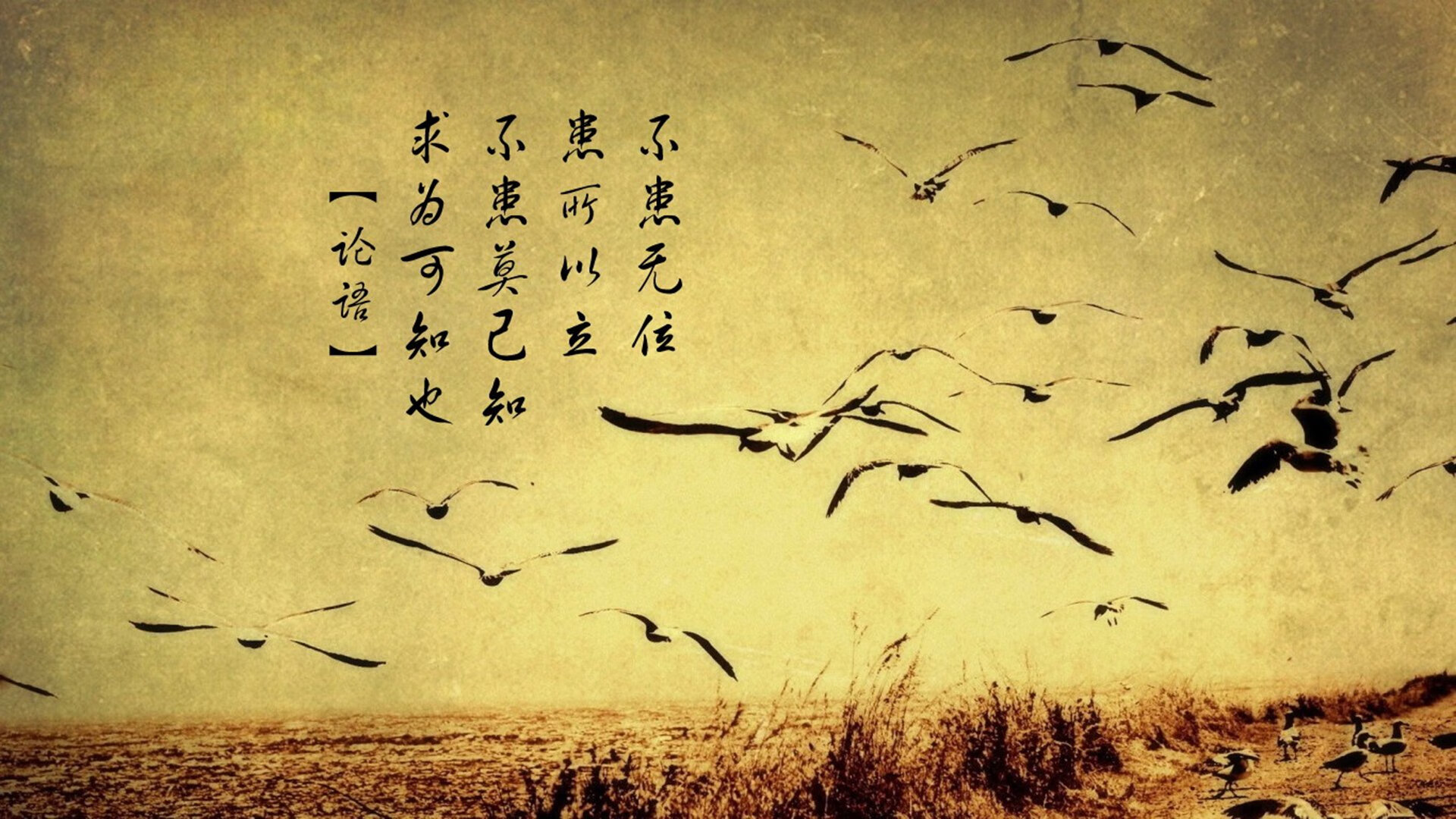 伊朗男足在巴黎奥运会上表现出色,赢得多场比赛,伊朗男足12强