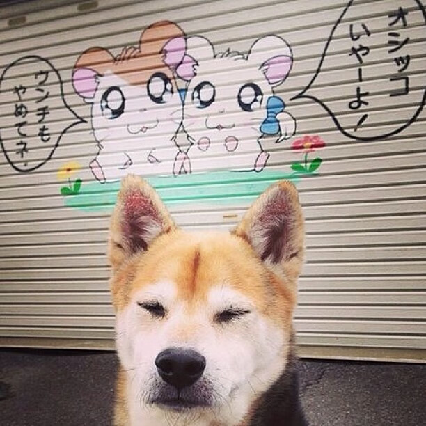 法甲引入创新战术打法,比赛内容更加丰富多彩,法甲如何