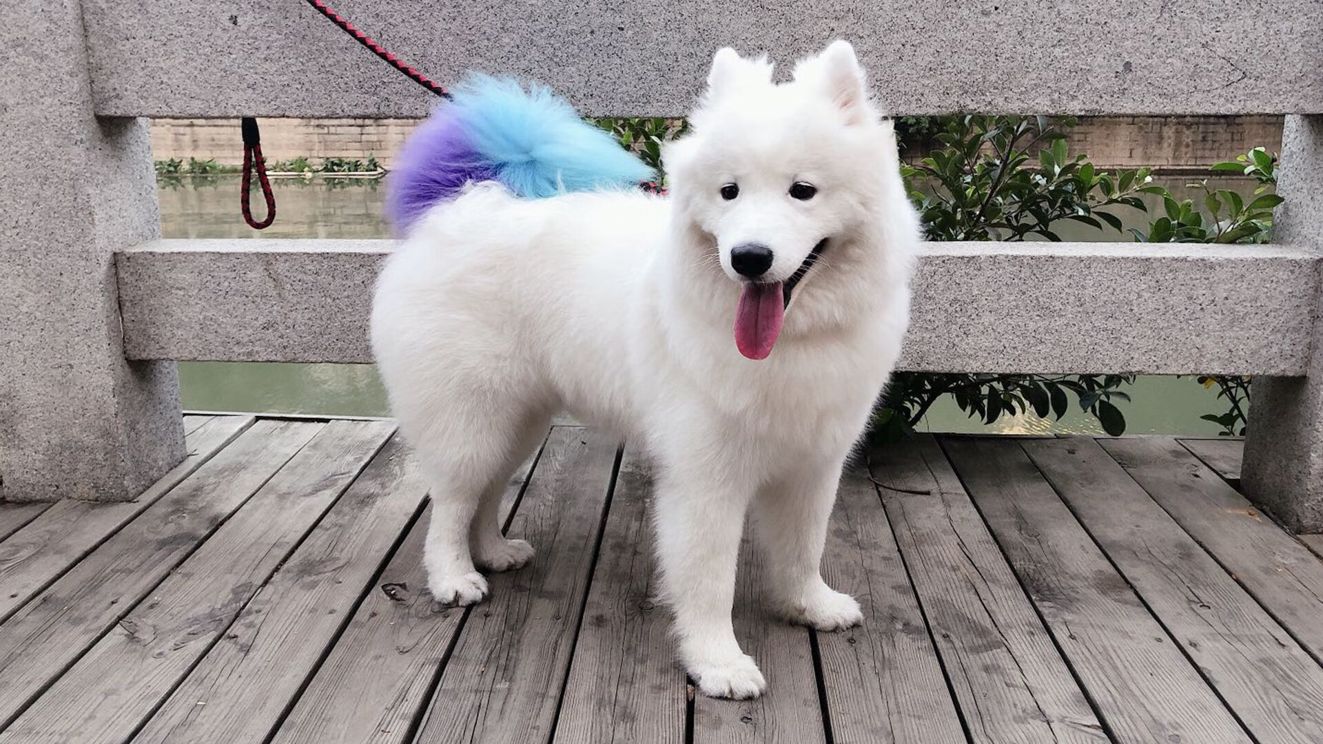 爱游戏综合娱乐-狂胜！摩纳哥轻取亚眠，重返胜利之路，放一下摩纳哥