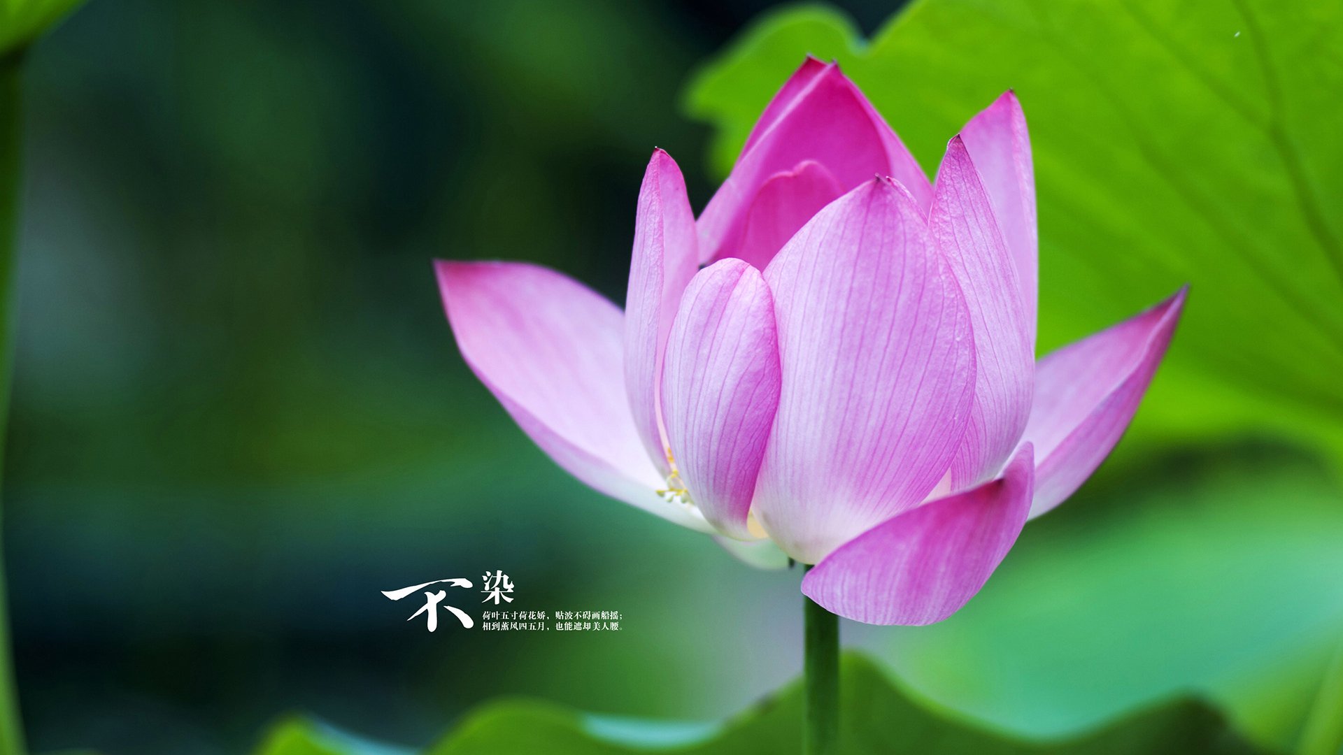 AYX官网-电竞职业选手训练与比赛中的技术动作优化方法，电竞职业选手怎么锻炼手速的