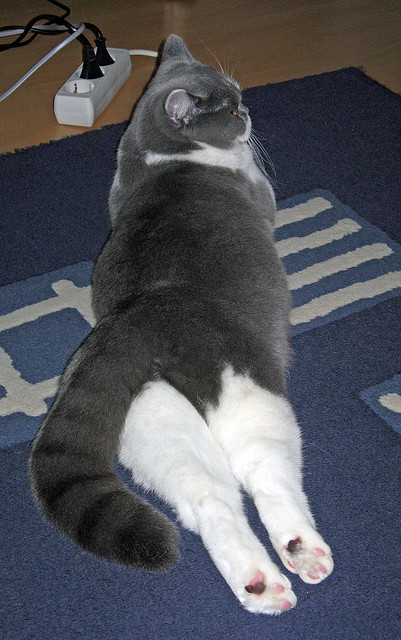 苏宁队家乡加油站迎来球迷围观,期待球队取得胜利!,苏宁俱乐部