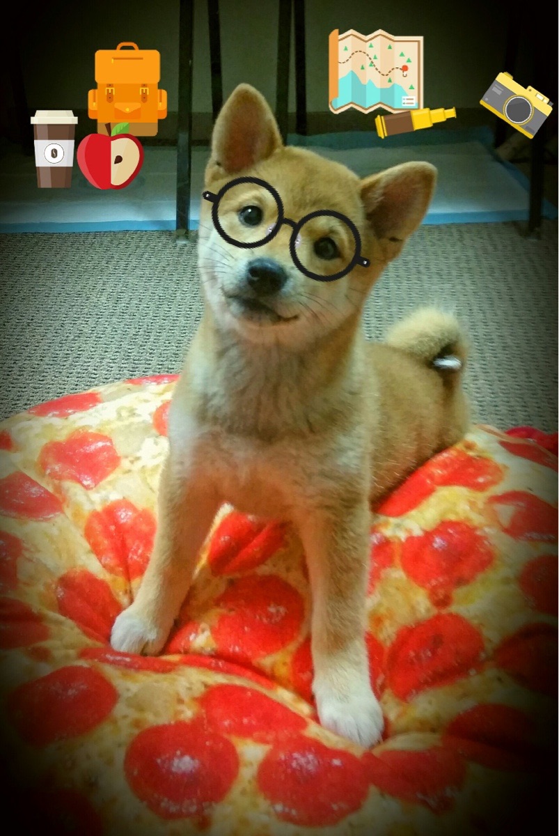 爱游戏体育-谢菲联客场输球，保级形势不容乐观，谢菲联现在老板