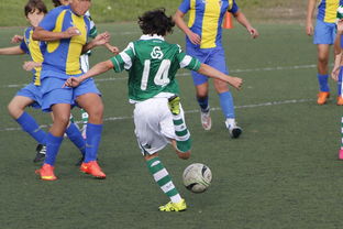 AYX体育官网-中国足球外援依赖度趋势分析，中国足球外援依赖度趋势分析图