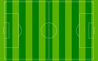 爱游戏平台-国足主场比赛战术布置与得分模型关联，国足阵容战术