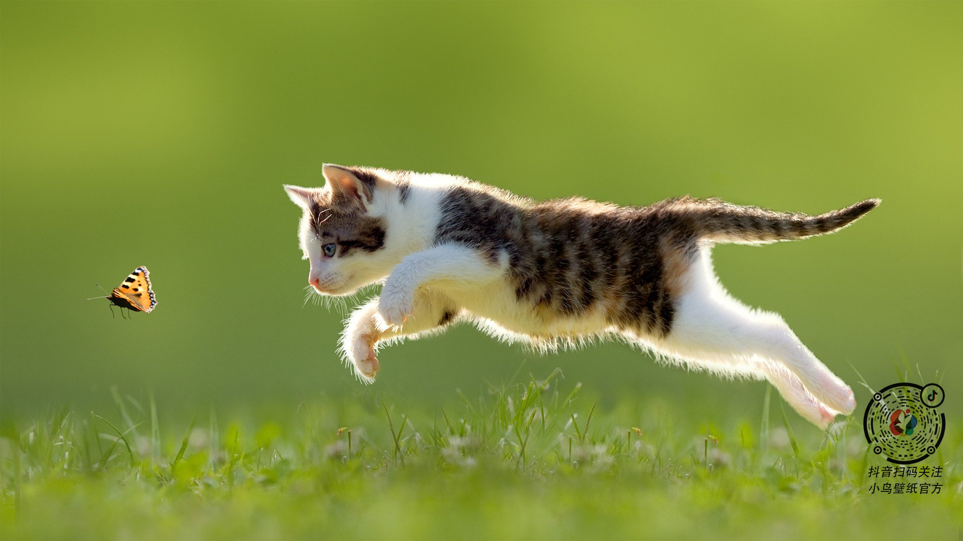 AYX官网-运动装备技术革新趋势，运动装备技术革新趋势有哪些