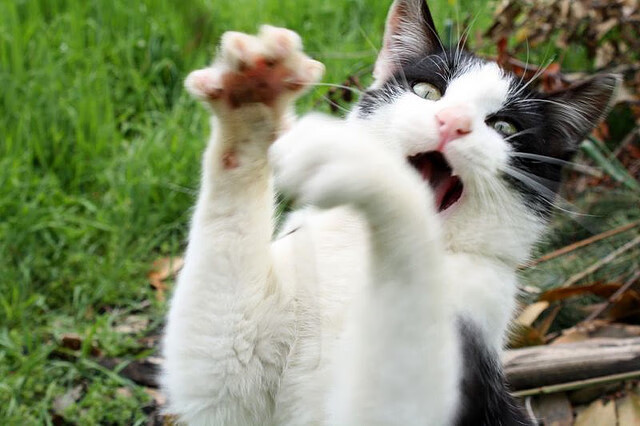 爱游戏官网-转身节奏控制成为关键因素，转身音效