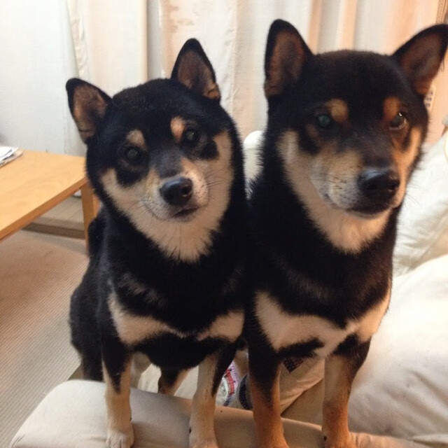 爱游戏娱乐网址-曼联球迷庆祝百年老队成就感人至深，曼联拜年