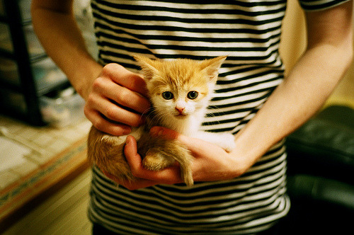 森林狼制定详细旅途恢复计划确保球员状态，森林狼现状